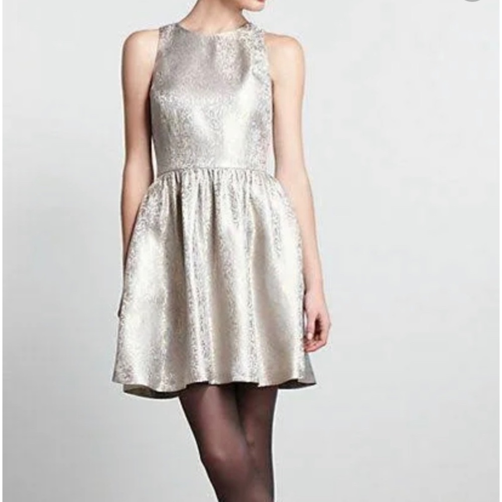 Anthropology Alexandra Grecco Silver and Gold textured Mini Dress